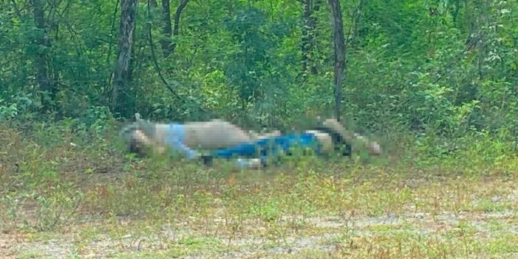 Abandonan cuerpos sin vida en carretera a Tamazula, Durango