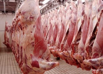 Alcalde presume que el Rastro TIF está cerca de ser autosuficiente, Olimpo Cienfuegos ha hecho buen trabajo”, dice