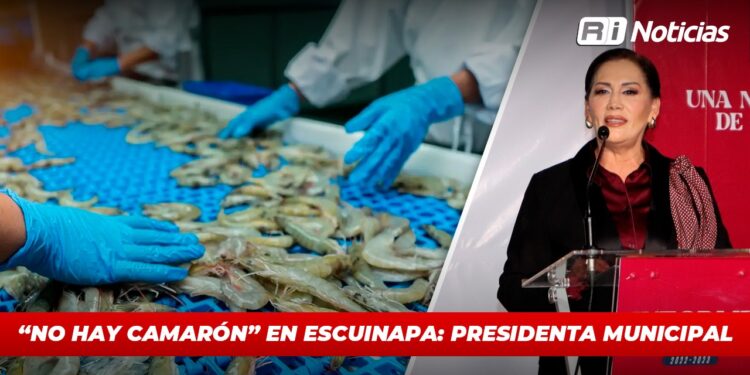 “No hay camarón” en Escuinapa: Presidenta Municipal