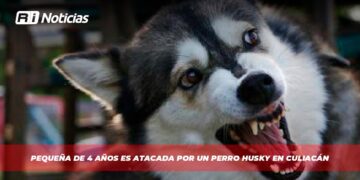 Pequeña de 4 años es atacada por un perro husky en Culiacán