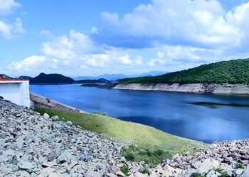 Falta de agua compromete viabilidad para la siembra de maíz en Sinaloa