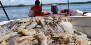 En Sinaloa la legislación no prohíbe los narcocorridos: Feliciano Castro Meléndrez