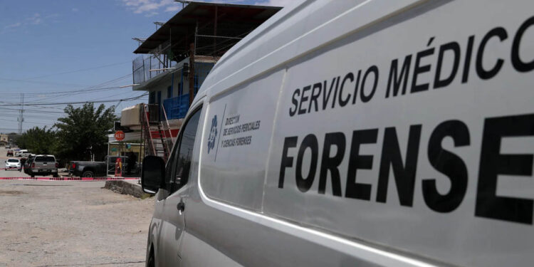 Sheinbaum descarta que la violencia afecte a la economía mexicana