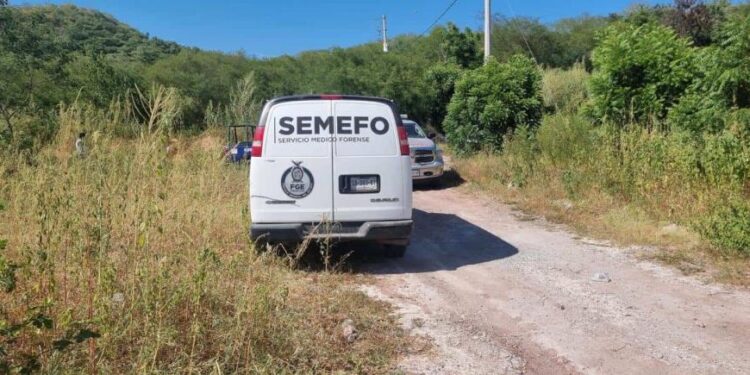 Localizan a tres personas ejecutadas entre Elota y Culiacán