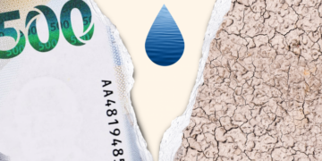 Crisis hídrica en Sinaloa: Un llamado urgente a la gestión sostenible del agua para salvar la agricultura y la economía local