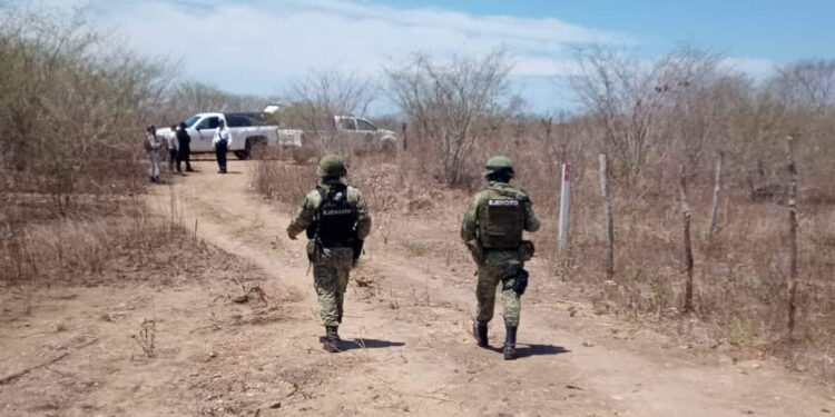 Localizan dos cuerpos asesinados a balazos en Alta Rosa, Elota