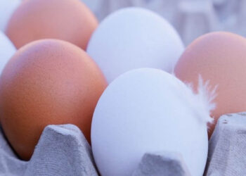 Huevos blancos o rojos: ¿Cuáles son más saludables y cuáles son sus diferencias?