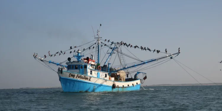 Flota pesquera de Mazatlán sigue en altamar con saldo blanco