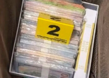 Decomisan 885 mil pesos y 286 mil dólares falsos tras cateo en Mexicali; hay dos detenidos