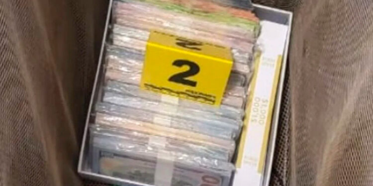 Decomisan 885 mil pesos y 286 mil dólares falsos tras cateo en Mexicali; hay dos detenidos