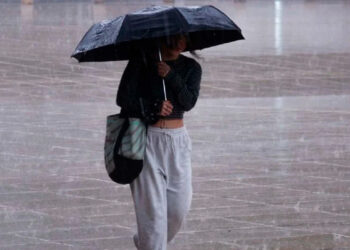 Alerta en el sureste mexicano: la tormenta “Sara” se dirige a la Península de Yucatán