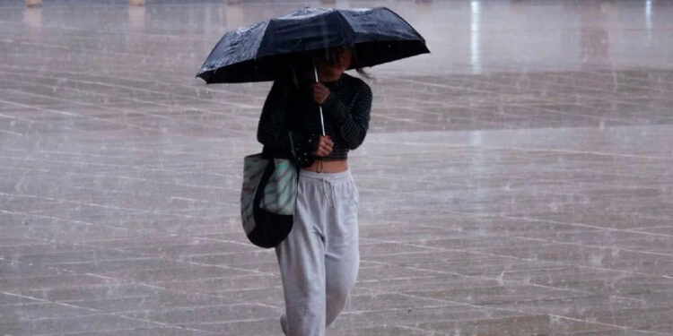 Alerta en el sureste mexicano: la tormenta “Sara” se dirige a la Península de Yucatán