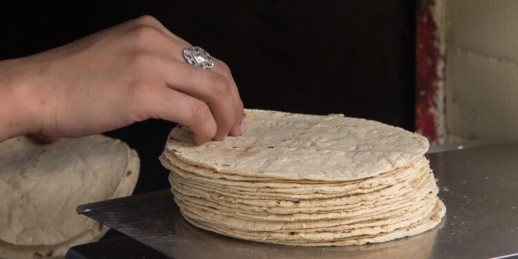 Sader busca reducir el precio de la tortilla con un acuerdo Nacional