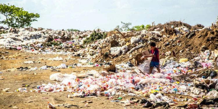Próxima pandemia surgiría de los vertederos de basura de países en desarrollo, según estudio