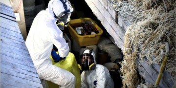 Cae en España químico narco del Cártel de Sinaloa; fue detenido junto con otras 15 personas