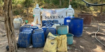 Marina destruye laboratorio clandestino y un plantío de mariguana en Sinaloa y Durango