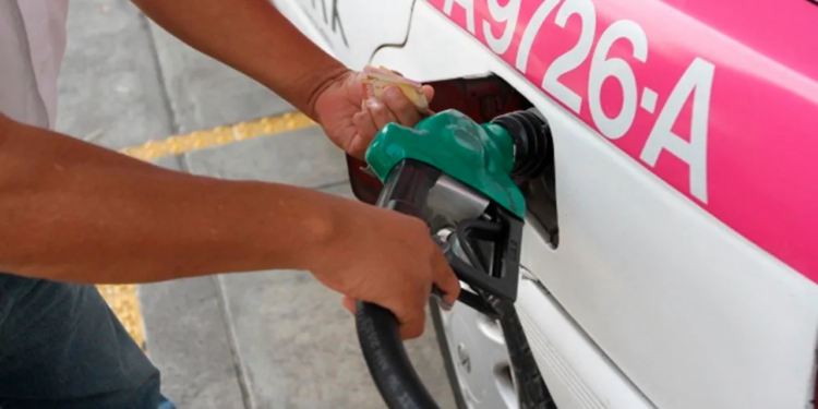 Gobierno de Sheinbaum no aumentará los precios de energéticos en próximos seis años