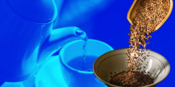 La semilla que te ayudará a bajar de peso, limpiar tus riñones y eliminar el colesterol alto si la tomas en té