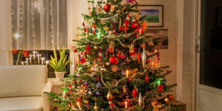 Cuidados de un árbol de Navidad natural: evita accidentes y que se seque rápido