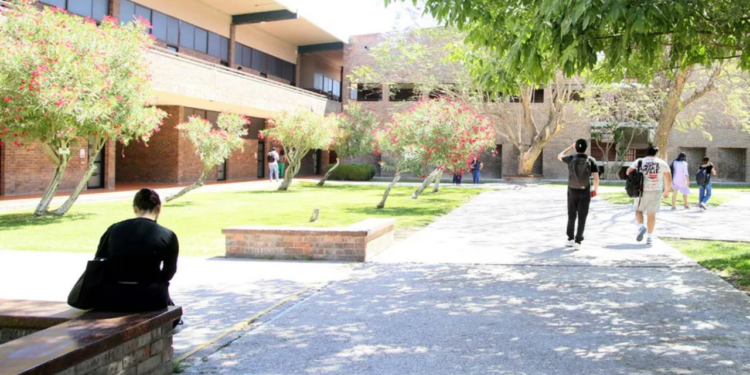 PRI pide incluir programa “Jóvenes Escribiendo el Futuro” a estudiantes de universidades privadas