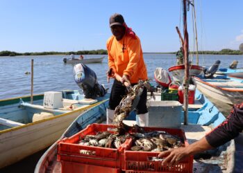 Anuncian nuevo censo pesquero en Sinaloa para actualizar padrón del programa Bienpesca