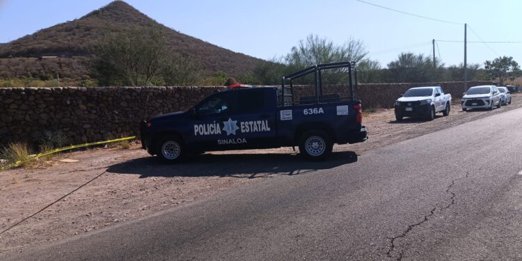 Tres cuerpos encontrados en la ampliación Álvaro Obregón, en Mazatlán