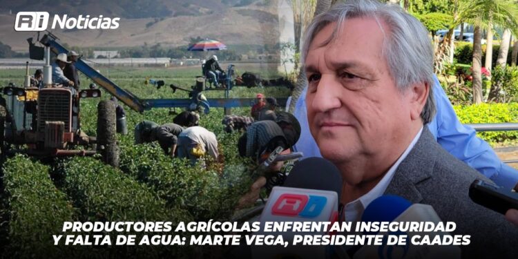 Productores agrícolas enfrentan inseguridad y falta de agua: Marte Vega, presidente de CAADES
