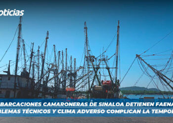 Embarcaciones camaroneras de Sinaloa detienen faenas: Problemas técnicos y clima adverso complican la temporada
