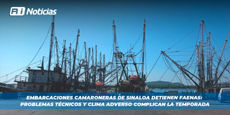 Embarcaciones camaroneras de Sinaloa detienen faenas: Problemas técnicos y clima adverso complican la temporada
