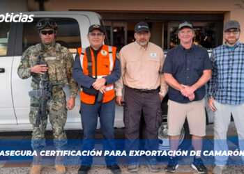 México asegura certificación para exportación de camarón en 2025