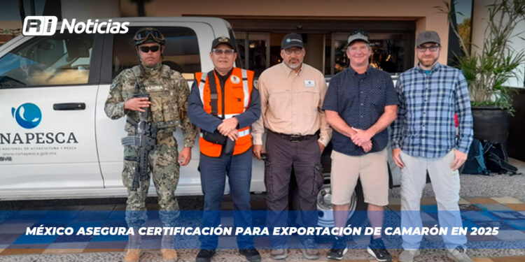 México asegura certificación para exportación de camarón en 2025
