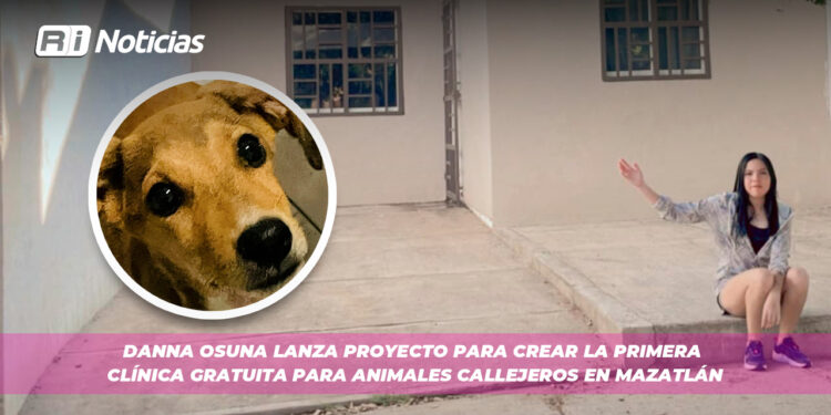 Danna Osuna lanza proyecto para crear la primera clínica gratuita para animales callejeros en Mazatlán