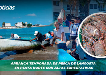 Arranca temporada de pesca de langosta en Playa Norte con altas expectativas