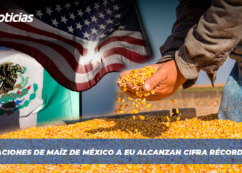 Importaciones de maíz de México a EU alcanzan cifra récord en 2024