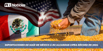 Importaciones de maíz de México a EU alcanzan cifra récord en 2024