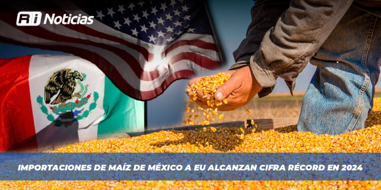 Importaciones de maíz de México a EU alcanzan cifra récord en 2024