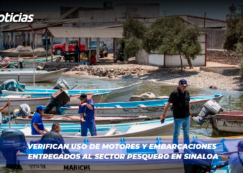 Verifican uso de motores y embarcaciones entregados al sector pesquero en Sinaloa