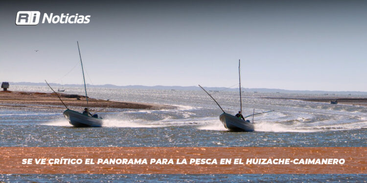 Se ve crítico el panorama para la pesca en El Huizache-Caimanero