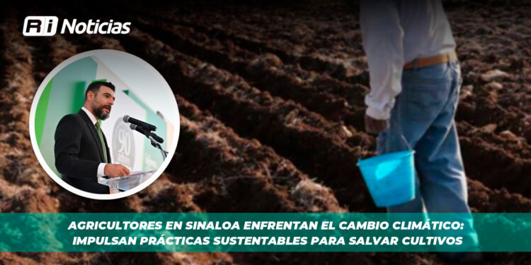 Agricultores en Sinaloa enfrentan el cambio climático: impulsan prácticas sustentables para salvar cultivos