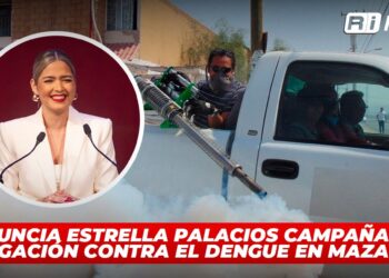 Anuncia Estrella Palacios Campaña de fumigación contra el dengue en Mazatlán