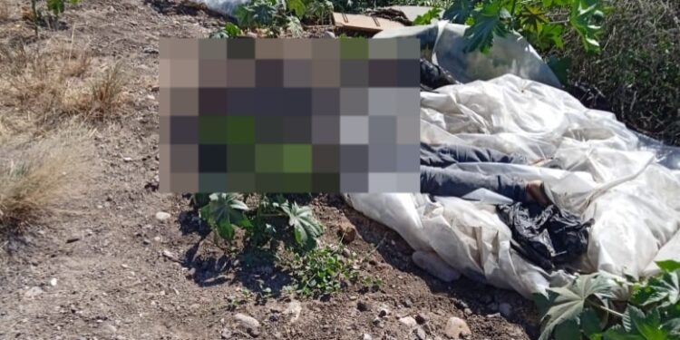 Localizan a dos personas sin vida a orillas de la carretera Culiacán – Eldorado por el campo El Diez