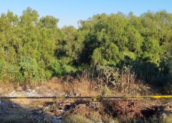 Localizan cuerpo sin vida sobre el Río Tamazula en Culiacán