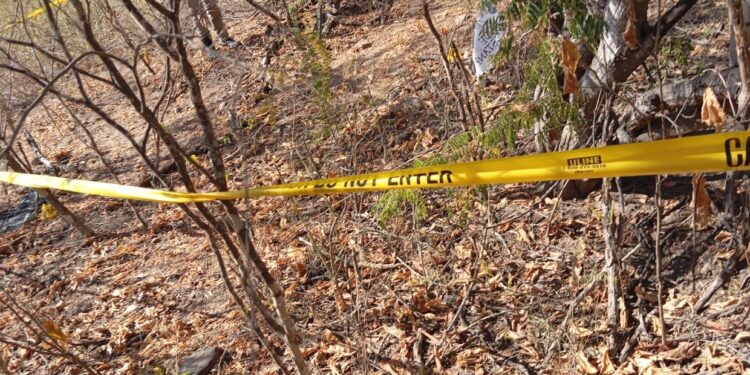 Colectivos de búsqueda localizan restos óseos humanos cerca de la Primavera en Culiacán