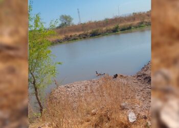 Localizan cuerpo flotando en el río Humaya, en Culiacán