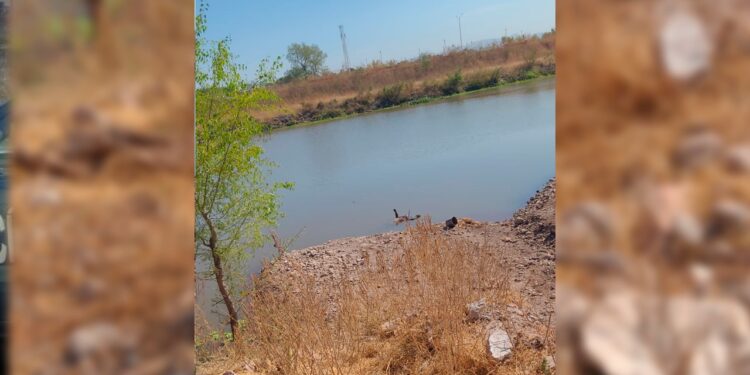 Localizan cuerpo flotando en el río Humaya, en Culiacán