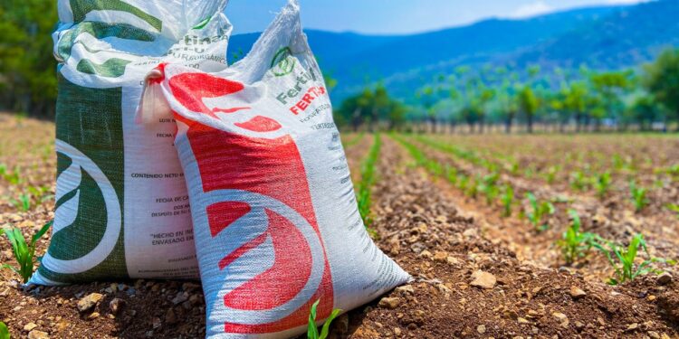 Cerca de 1,500 productores podrían perder apoyo de fertilizantes: plazo vence el 30 de noviembre