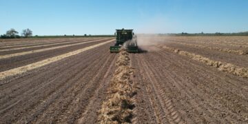Anuncia la SADER “Estrategia Nacional De Transición Agroecológica 2024 – 2030”, ante agrónomos de UAM