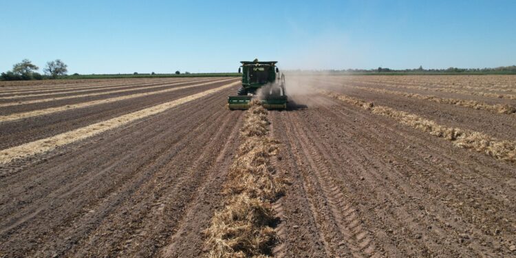 Anuncia la SADER “Estrategia Nacional De Transición Agroecológica 2024 – 2030”, ante agrónomos de UAM