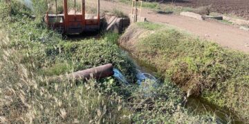 Sinaloa enfrenta grave crisis de sequía: Se limitan cultivos de alto consumo hídrico y se apuesta por alternativas de baja demanda