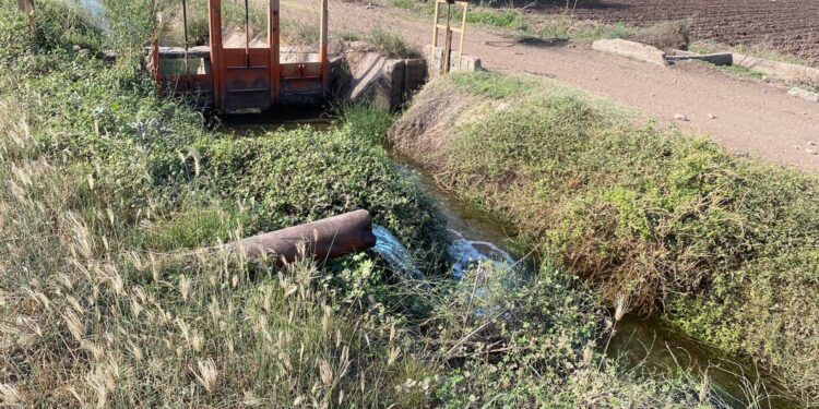 Sinaloa enfrenta grave crisis de sequía: Se limitan cultivos de alto consumo hídrico y se apuesta por alternativas de baja demanda